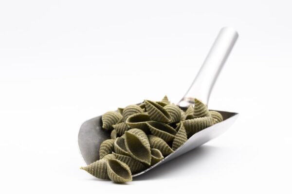 Conchiglie Moringa Eco saco 2 kg