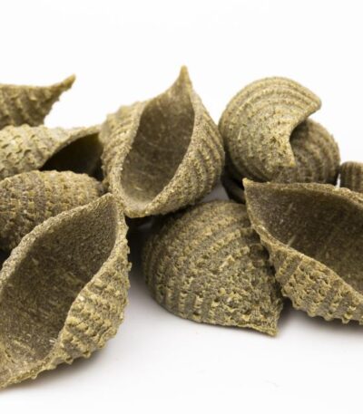 Conchiglie Moringa Eco saco 5 kg