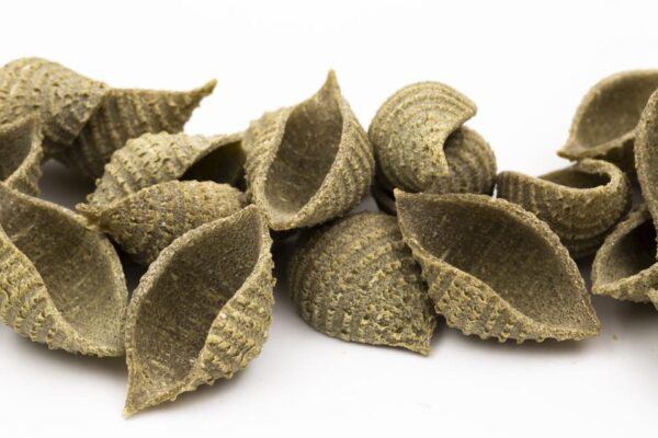 Conchiglie Moringa Eco saco 5 kg