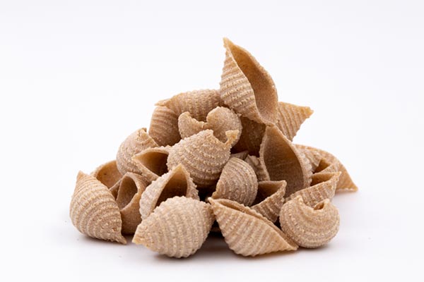 Conchliglie Integral Orígenes Eco saco 5 kg